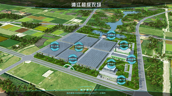 浦江超级农场：科技赋能让种植更高效