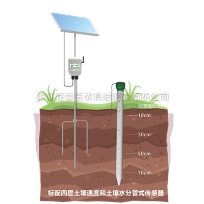 管式草莓视频APP官方网站墒情监测仪 TPGSQ-4