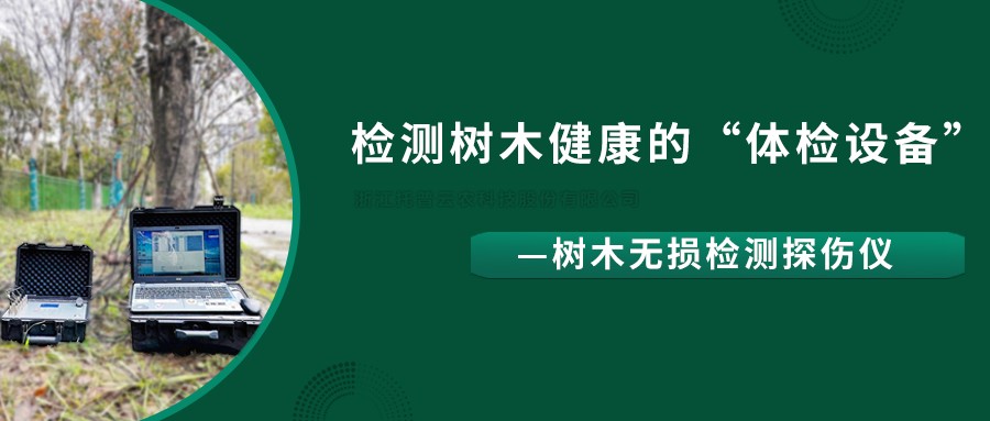 树木无损检测探伤仪精准检测树木健康状况，给出专业治疗方案