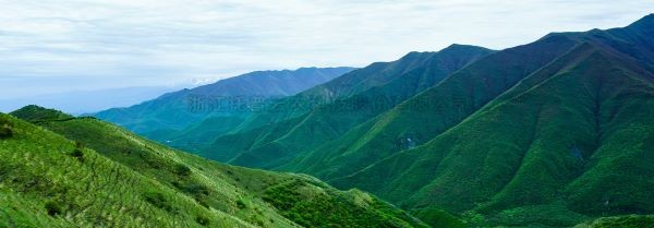 智慧护林有妙招，看太子山如何用科技守护森林