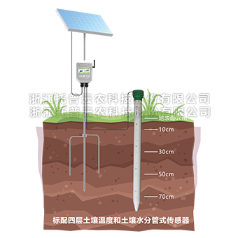 草莓视频APP官方网站剖面水分测定仪详细介绍