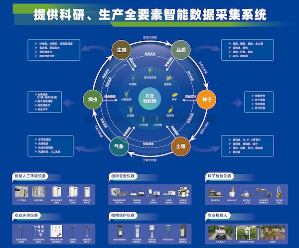 加速推动新质生产力发展，草莓视频软件下载为建设农业强国注智赋能