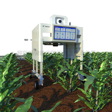 田间无人车式高通量植物表型采集分析平台 
