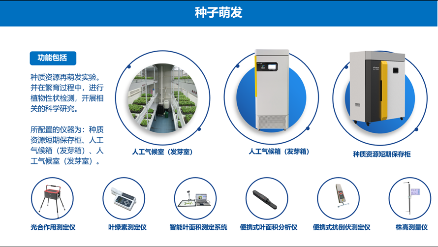 草莓在线观看视频免费永久网站萌发仪器