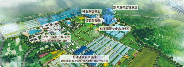 草莓视频软件下载数字种业创新应用基地