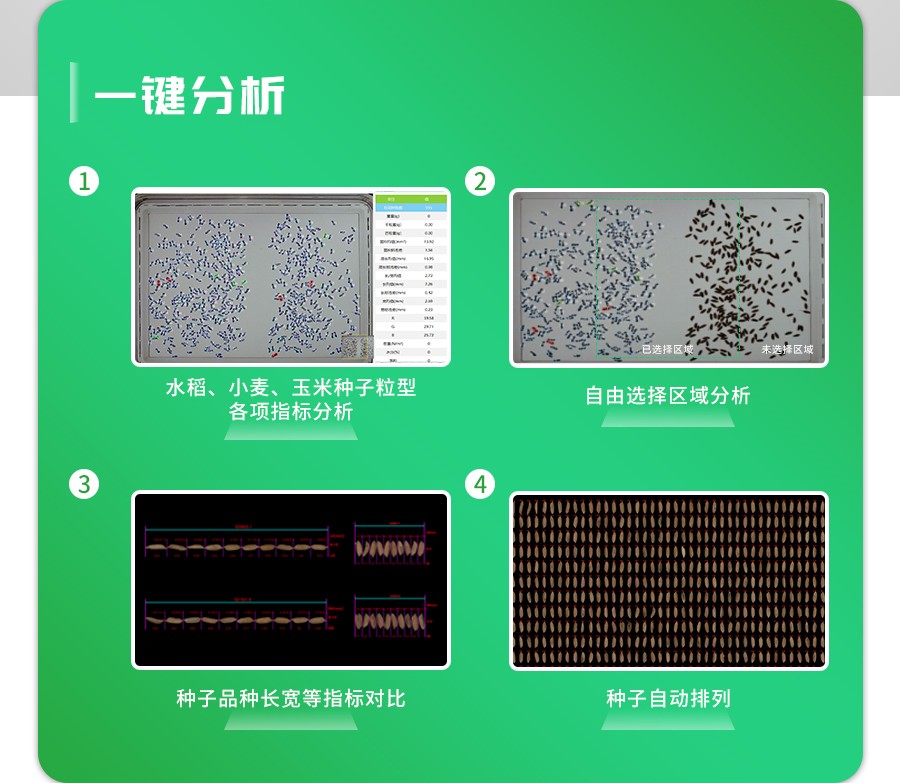 智能考种分析系统